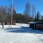 Toivola