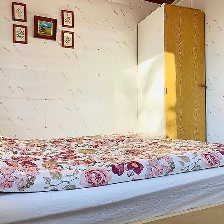 Alloggio in famiglia Toivola , *