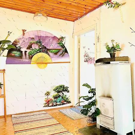 Toivola , Pansiyon *