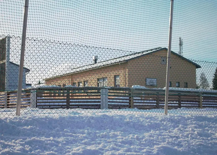 Toivola , * Joroinen