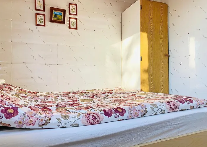 ホームステイ Toivola , *