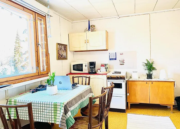 Toivola , ホームステイ Joroinen