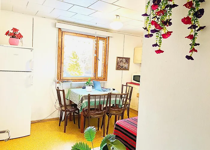 Toivola , ホームステイ Joroinen