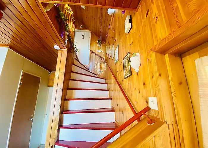 ホームステイ Toivola , *